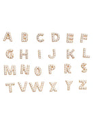 Michela | Orecchini Lettera in Oro 18k